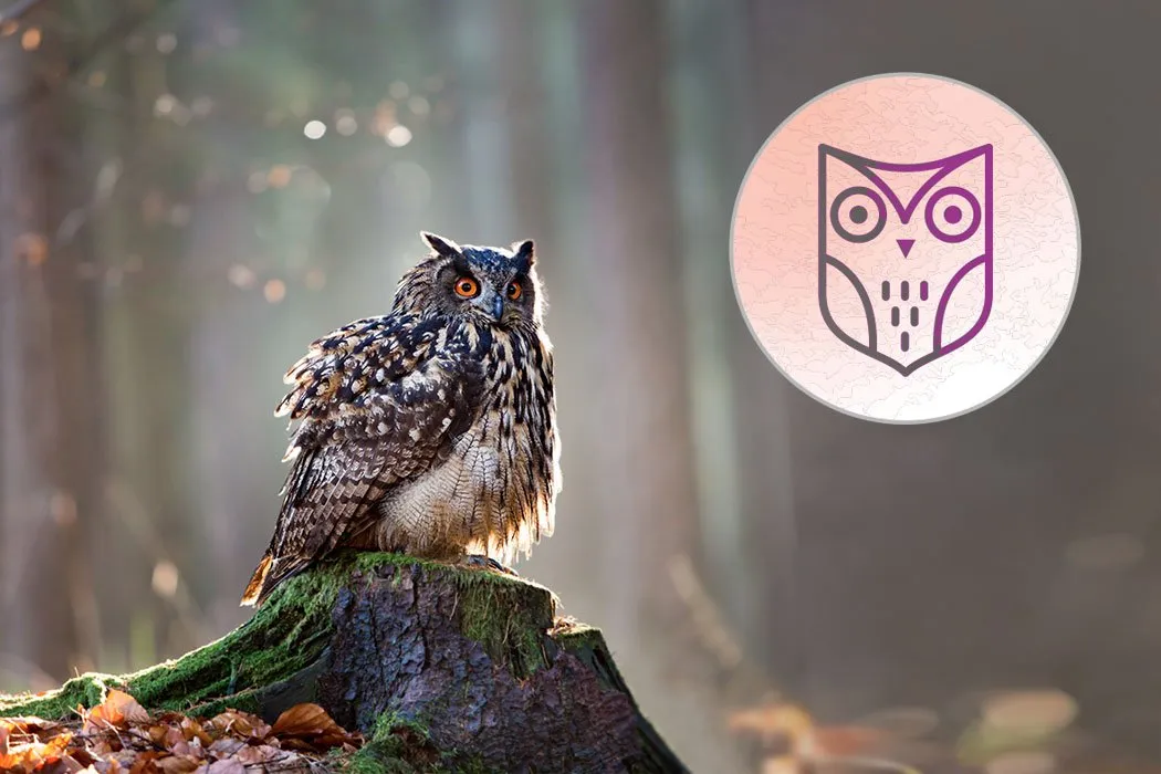 Il Gufo Erborista Hover