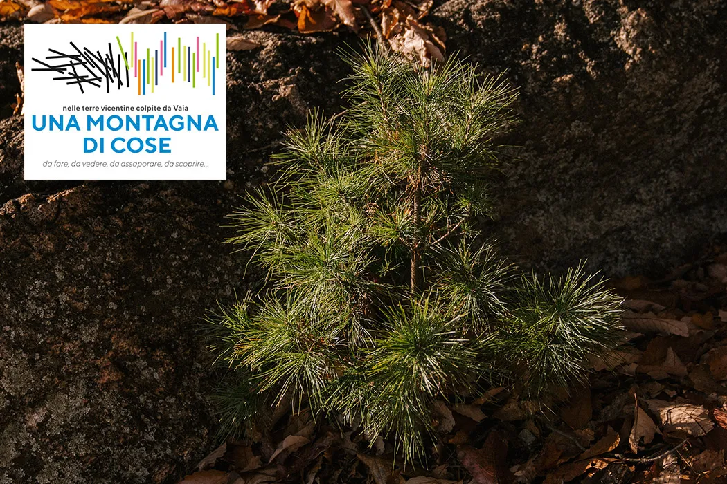 Una Montagna Di Cose Hover