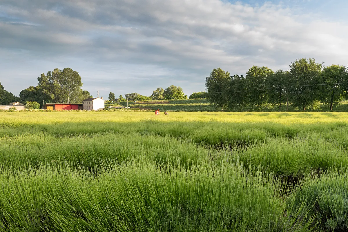 Vaoltre Shooting 003