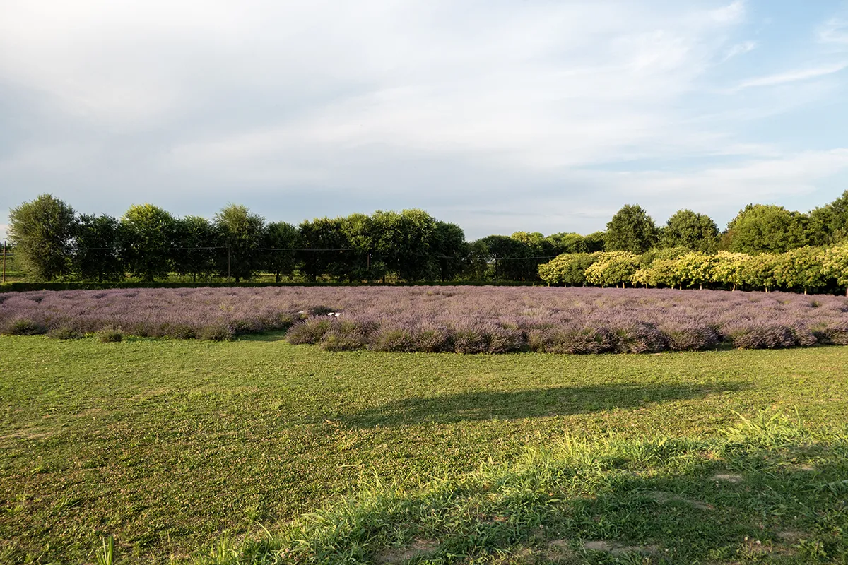 Vaoltre Shooting 006