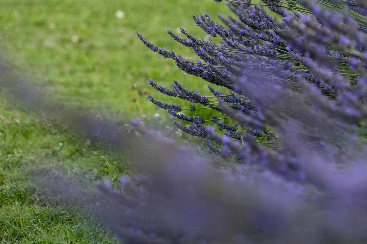 Vaoltre Shooting 011