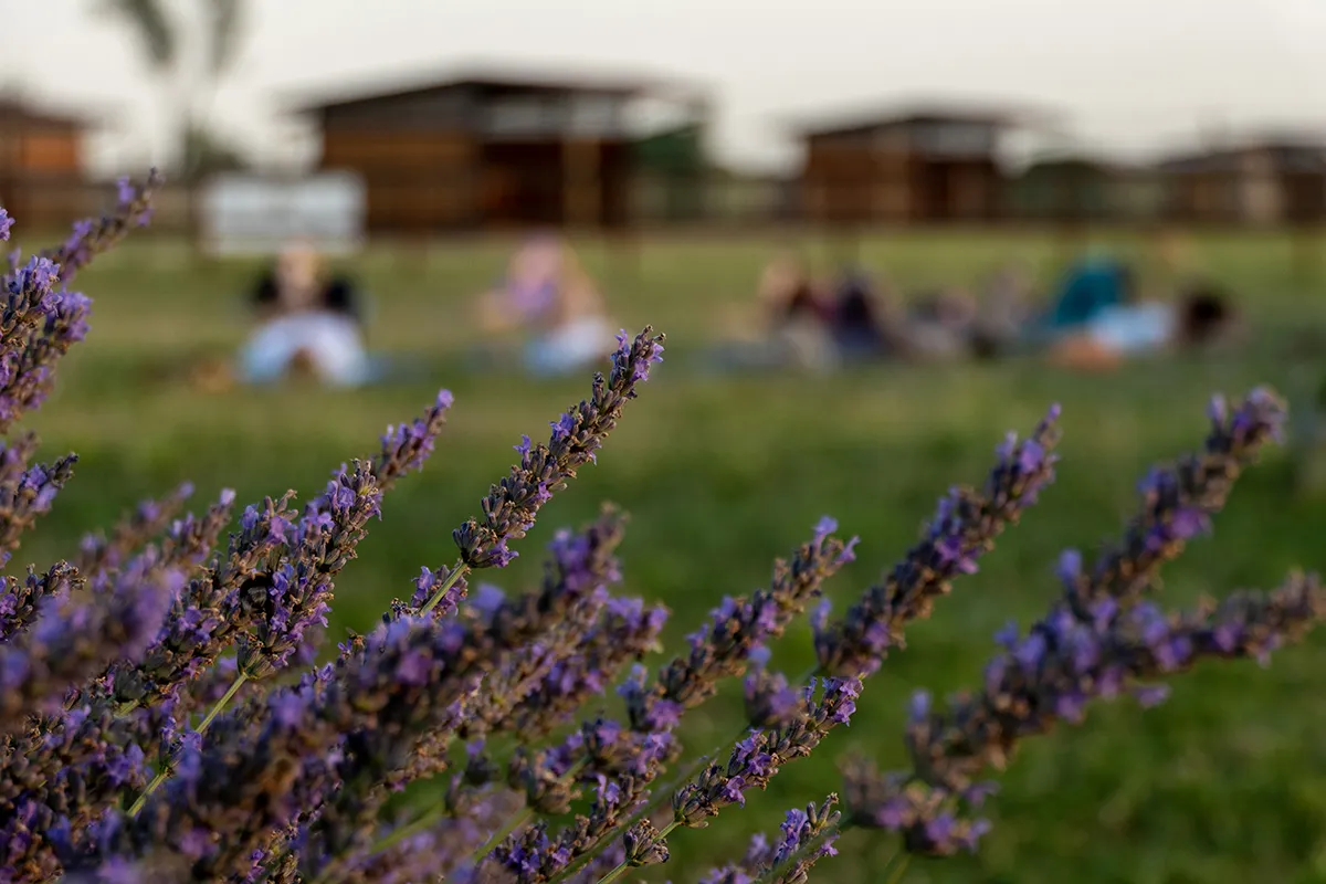 Vaoltre Shooting 016